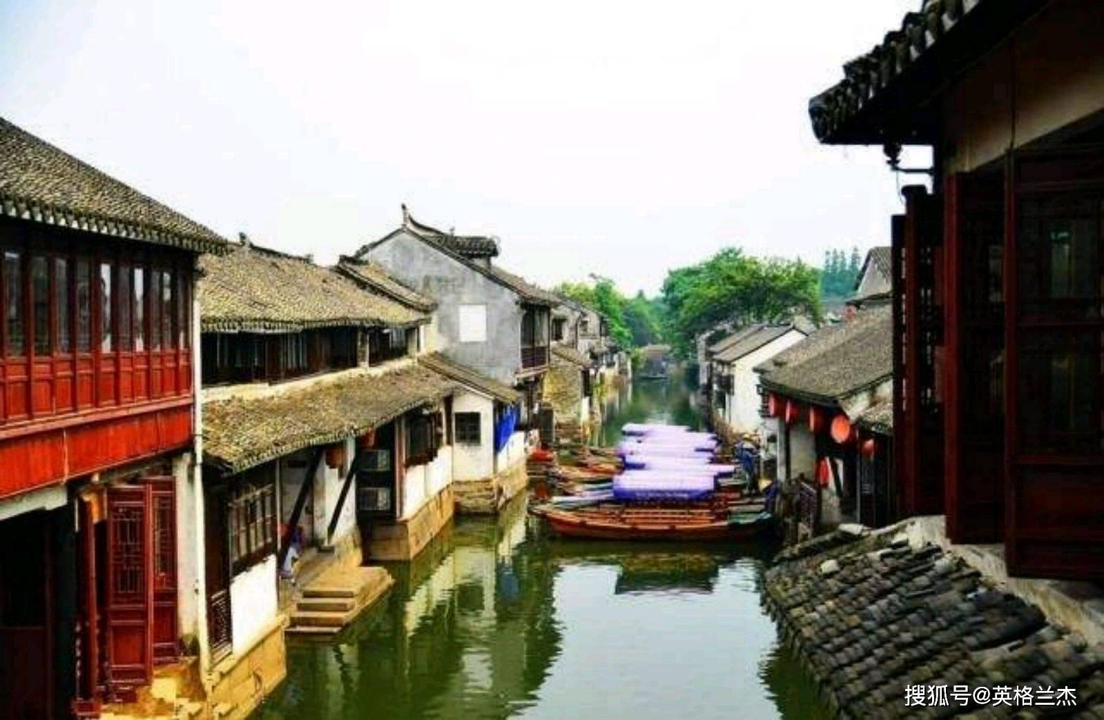 动物帮帮忙保卫家园